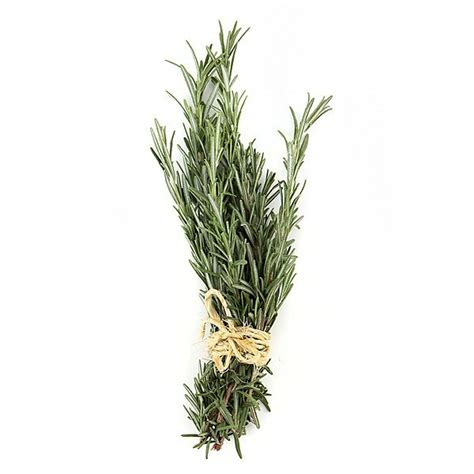 Herbs, Rosemary – Rosanna Fine Produce