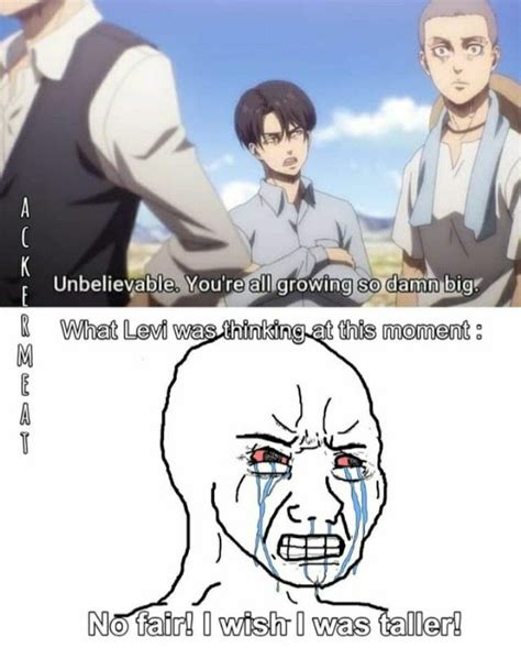 Anime Meme, Funny Anime Pics, Funny Photos, Aot Memes, Funny Memes, King T, Manga, Aot Funny ...