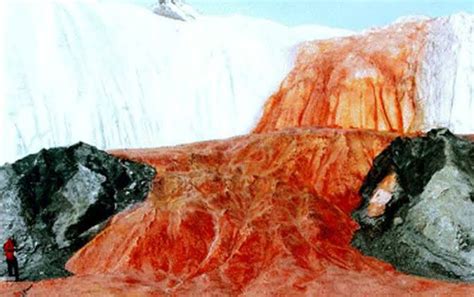 The mysterious blood waterfall that flows all year round in Antarctica was discovered by ...