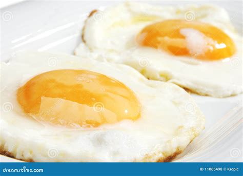 Two eggs stock photo. Image of bright, cuisine, fried - 11065498