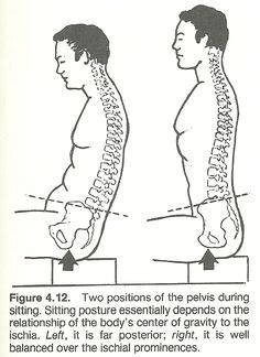 Posterior Pelvic Tilt