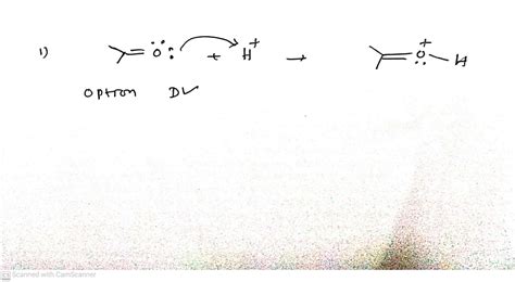 [Solved] what is the correct curved arrow mechanism for the protonation ...