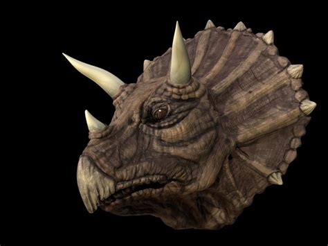 Triceratops | Extinct Animals