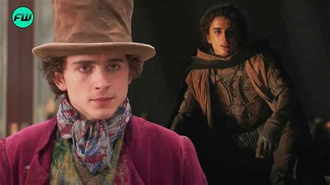 Timothée Chalamet Playing a DC Superhero Gets Closer to Reality After ...