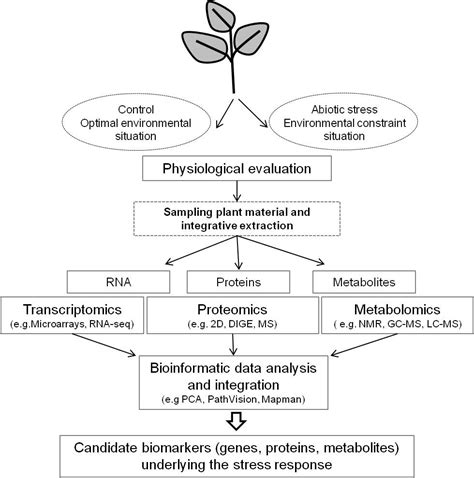 Abiotic Stress Responses in Plants: Unraveling the Complexity of Genes and Networks to Survive ...