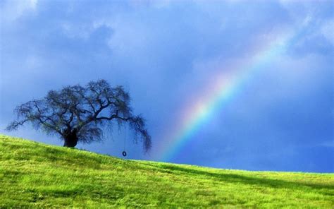 Natural Rainbow Wallpapers - Top Free Natural Rainbow Backgrounds - WallpaperAccess