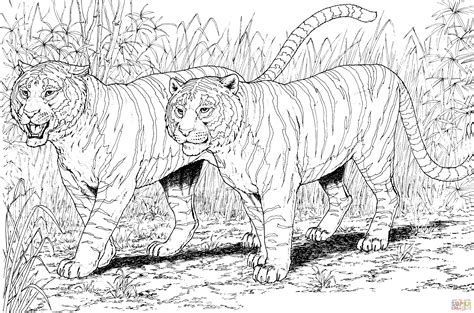 Two Tigers coloring page | Free Printable Coloring Pages