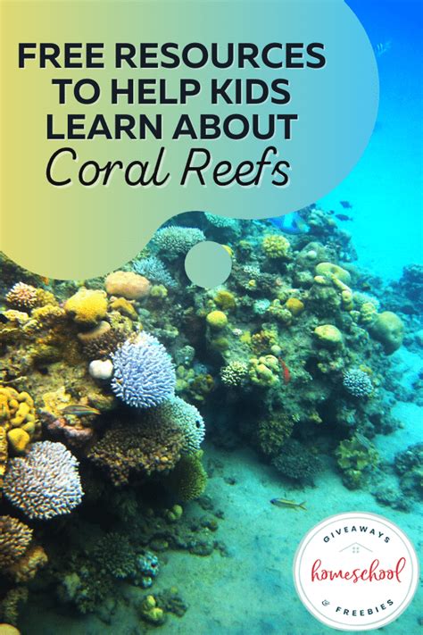 Printables - Ocean Coral Reef Worksheet and Coloring Page | HP ... - Worksheets Library