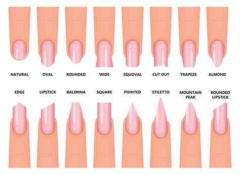 2021 Nail Shape Chart Edge Nails, Natural Nail Shapes, Natural Nails ...