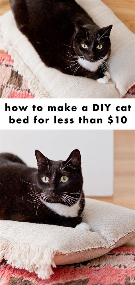 A DIY Cat Bed that Cost Less than $8 to Make - Paper and Stitch