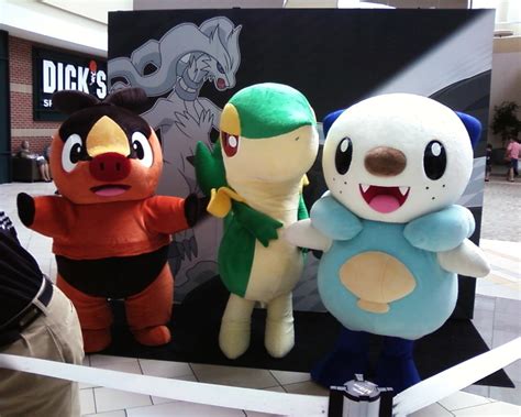 Gen. V Starters during the Pok'emon mall tour | Pokemon costumes, Anime ...