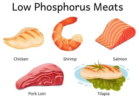 Low Phosphorus Foods