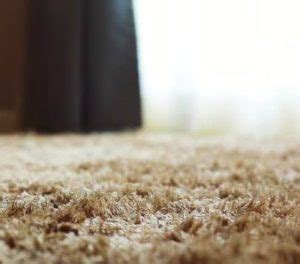 How To Get Rid of Fleas In Your Carpet (Without Breaking The Bank)