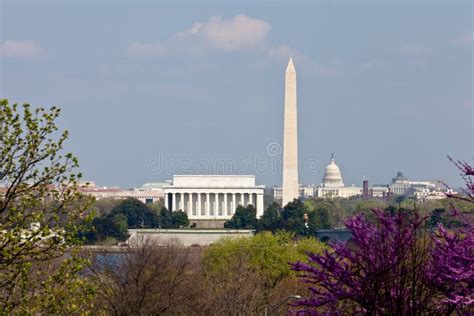 Washington DC Skyline stock image. Image of blooms, plants - 23987351