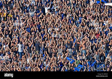 Cheering Football Crowd