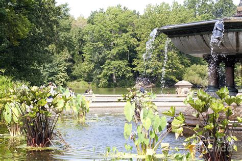 Bethesda Fountain Photograph by Kristi Jacobsen