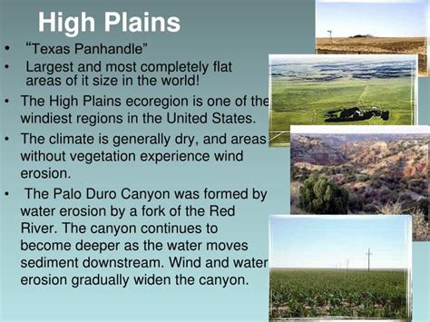 PPT - Texas Ecoregions PowerPoint Presentation - ID:2702560