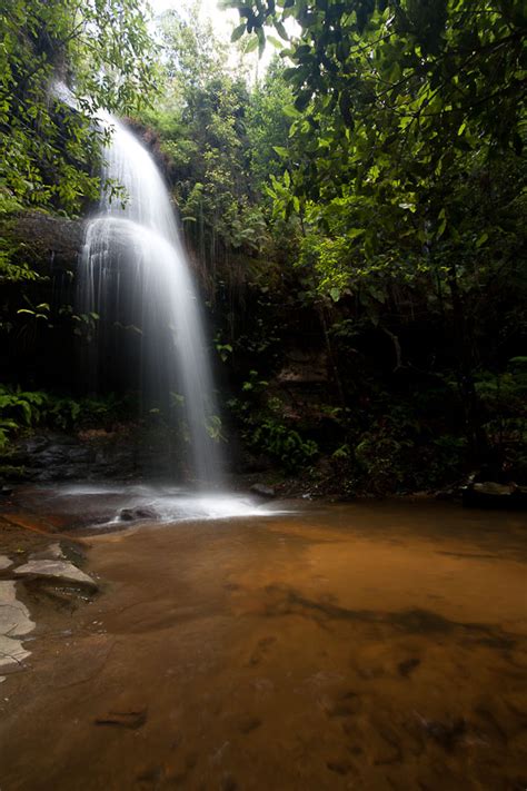 Hazelbrook Waterfalls - OZultimate.com bushwalking