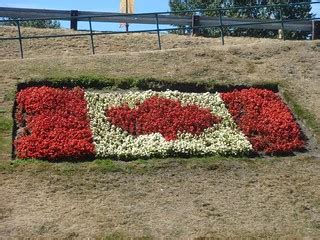 Canadian Flag flower bed | See where this picture was taken.… | Flickr