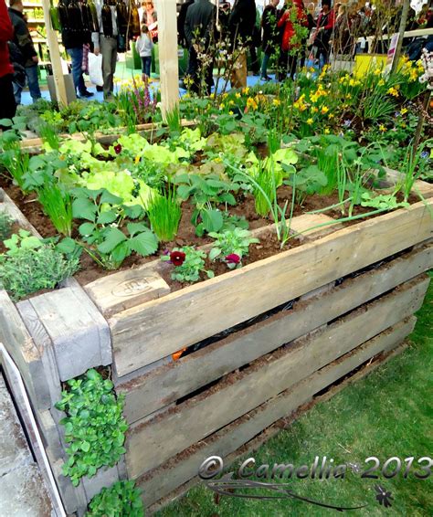 Raised Garden Bed from crates | Raised garden, Pallets garden, Raised vegetable gardens