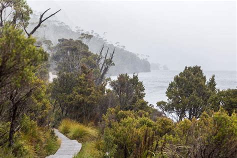 Dove Lake Circuit Walk | Tasmania Travel Guide