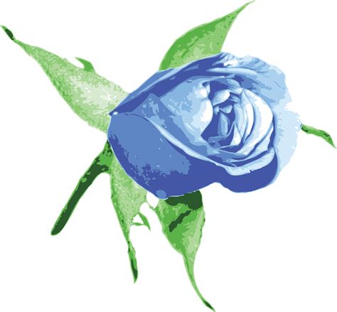 Blue Rose Drawing / The blu rose art bistro is a hip and trendy new spot nestled in historic ...