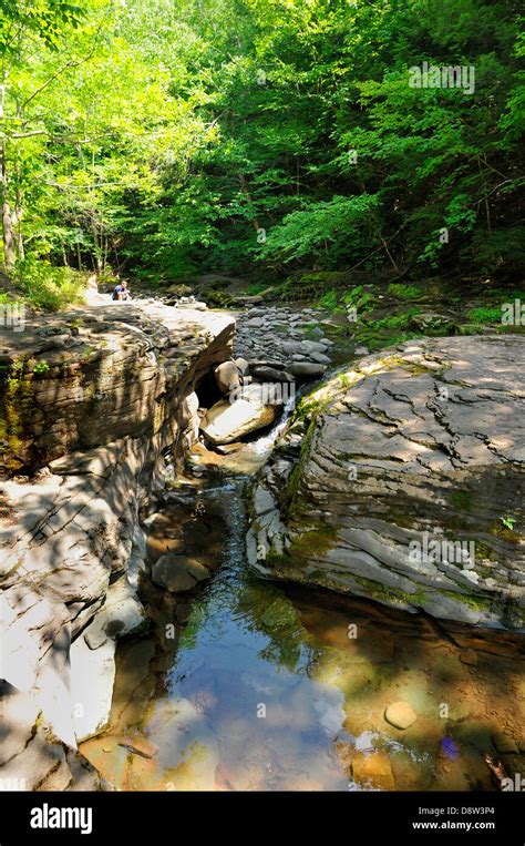 Waterfalls on Kaaterskill Creek in the Catskills Mountains - New York Stock Photo - Alamy