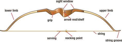 The Recurve Bow