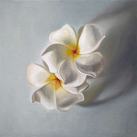 White Plumeria Blossoms – Lauren Pretorius | Contemporary Artist