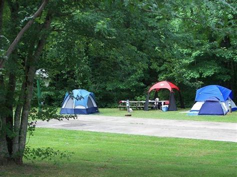 Yonah Mountain Campground Helen Georgia | Campground, Tent site, Georgia