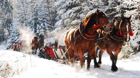 Manheim Steamroller - Sleigh Ride | Sleigh ride, Horses, Winter scenes