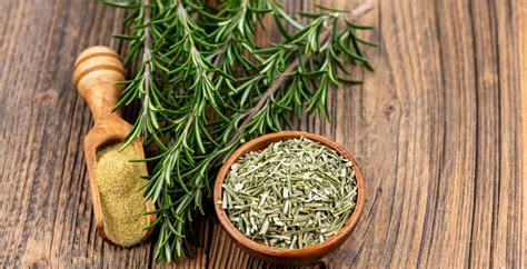 Rosemary Benefits, Uses, Side Effects, Interactions and More - Dr. Axe