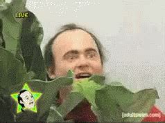 Creepy Guy Behind Plant GIF - Creepy Guy Behind Plant Hide - Gif's ontdekken en delen