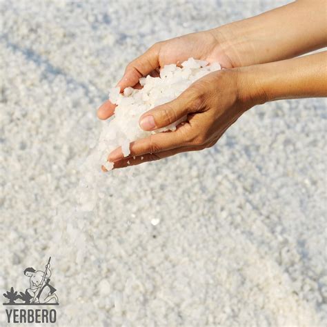 Yerbero - Premium Gourmet Bulk Colima Sea Salt Unrefined (Multiple Siz