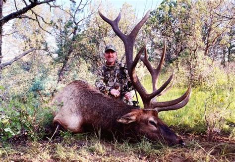 Best Elk Hunting Trips and Outfitters! Find Your Hunt!