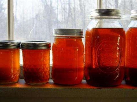 Maple syrup production declines after big seed year