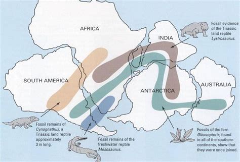 Continental Drift and Plate Tectonic Theory: A Scientific Revolution ...