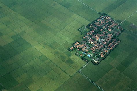 An Aerial View Shows a Paddy Field Photograph by Beawiharta Beawiharta - Pixels