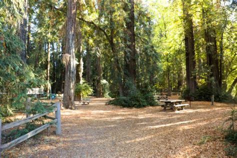 Hiking Trail at Riverfront Regional Park in Healdsburg, CA - Elle & Pear