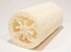 What Is a Loofah? Types, How to Use & Skincare Benefits