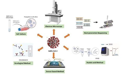 There Many Different COVID-19 Tests – Which One to Choose?