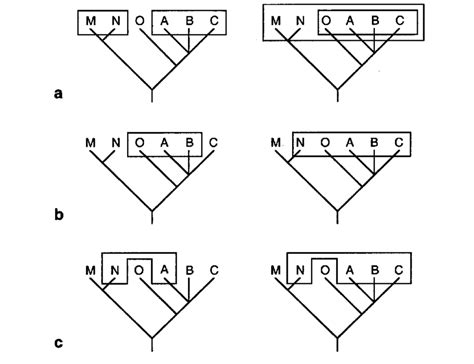 1-Examples of monophyletic (a). paraphyletic (b), and polyphyletic ( c ...