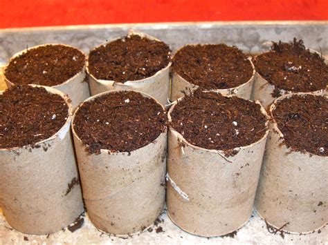 Homemade Biodegradable Pots From Toilet Paper Tubes