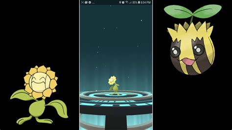 Evolución de Sunkern shiny a Sunflora shiny en Pokémon GO - YouTube