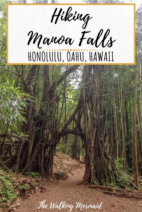 Hiking At Manoa Falls, Honolulu, Hawaii | Hawaii hikes, Hawaii travel ...