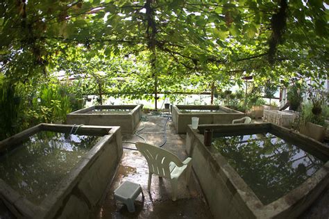 Manley Hot Springs, Alaska | Flickr - Photo Sharing!