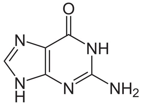 Guanine