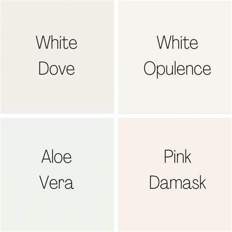 White Dove by Benjamin Moore: The Ultimate Guide | White doves, Paint colors benjamin moore ...