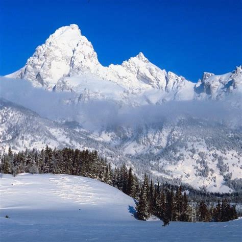 Wyoming Snowmobile Guided Tours | USA Today