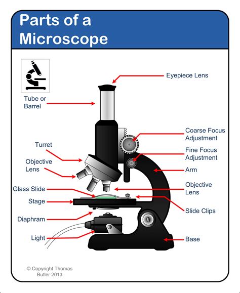 Microscope - diagram Tom Butler | Microscope parts, Science teaching resources, Science skills